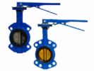 A Butterfly Valve